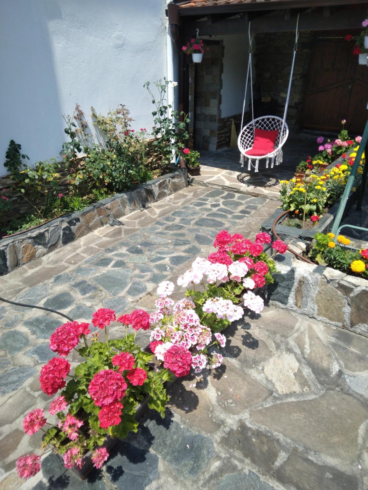Guest House Popov Marcevo Exterior foto