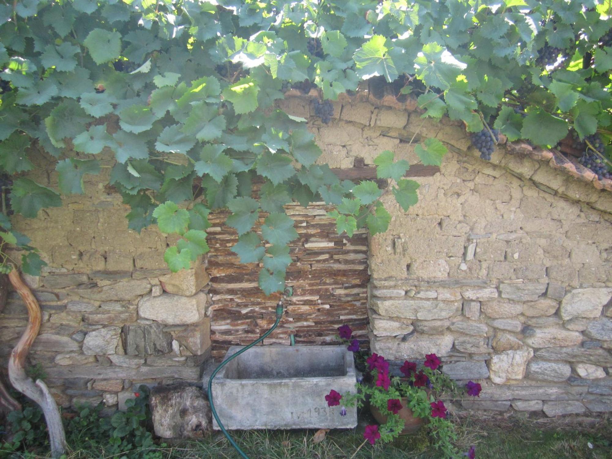 Guest House Popov Marcevo Exterior foto